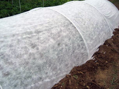 crop cover non wovern manufacture