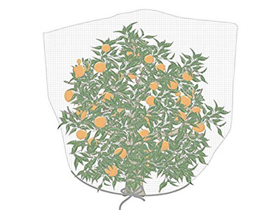 fruit tree net bag