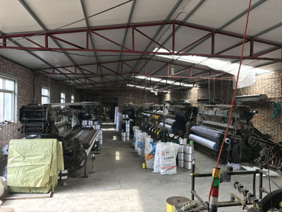 Insect net factory