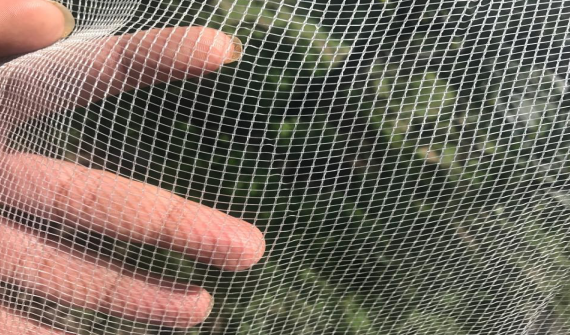 The role of insect nets