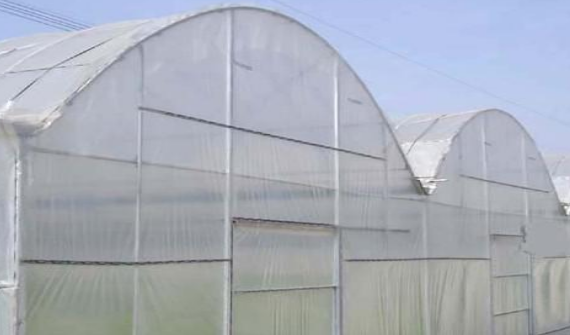The place and benefits of using insect net