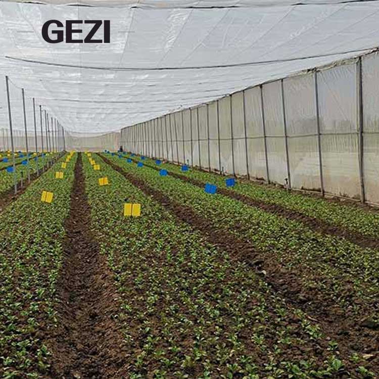 Insect Net Classification System