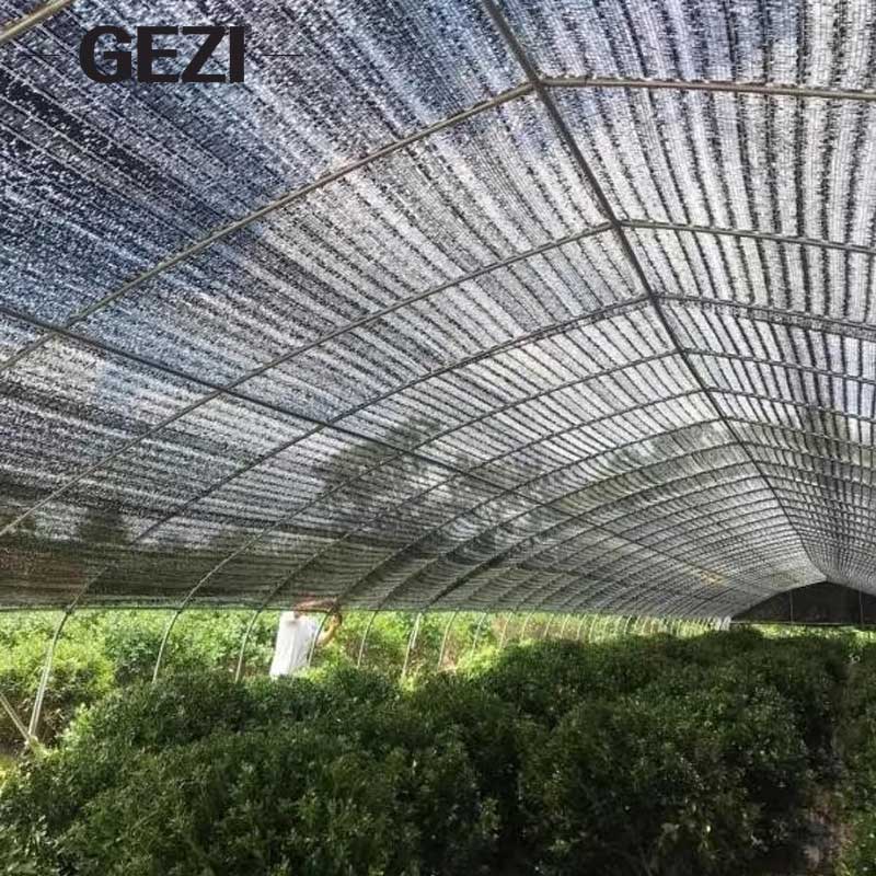 Flat-Needle Shade Netting: The Ultimate Solution for Overwintering Crop Protection