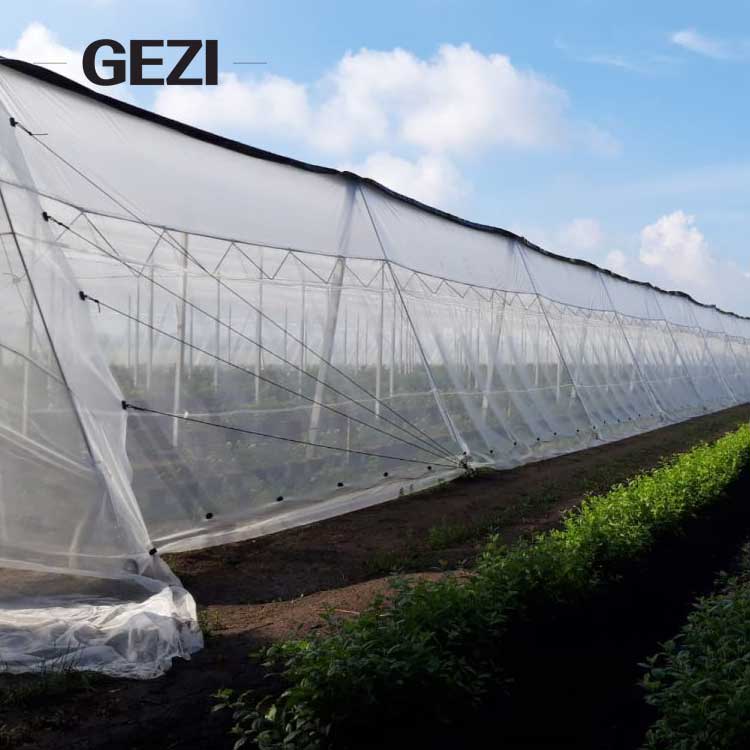 Requirements for Spanish Insect Control Netting