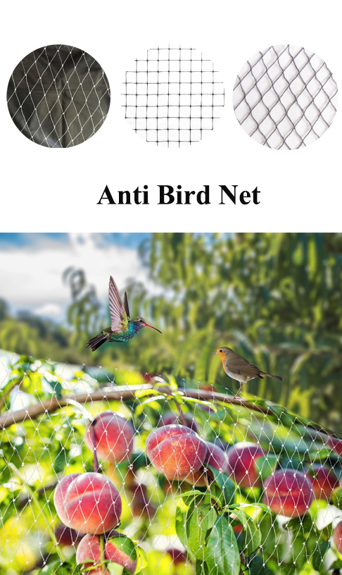 Customers visit the anti-bird net factory witness the production process of high-quality products