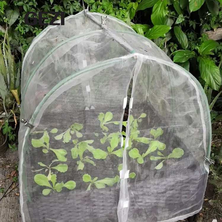 Netting in-ground beds