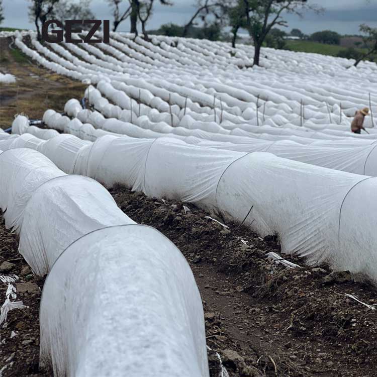 Garden Insect Netting Screen