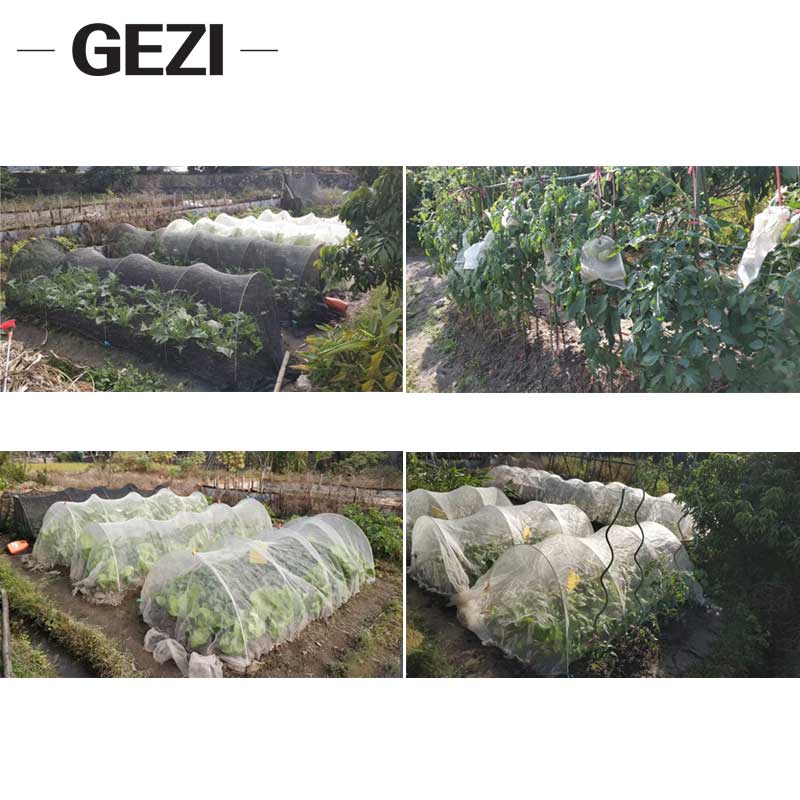 Various Uses of Insect - Proof Nets