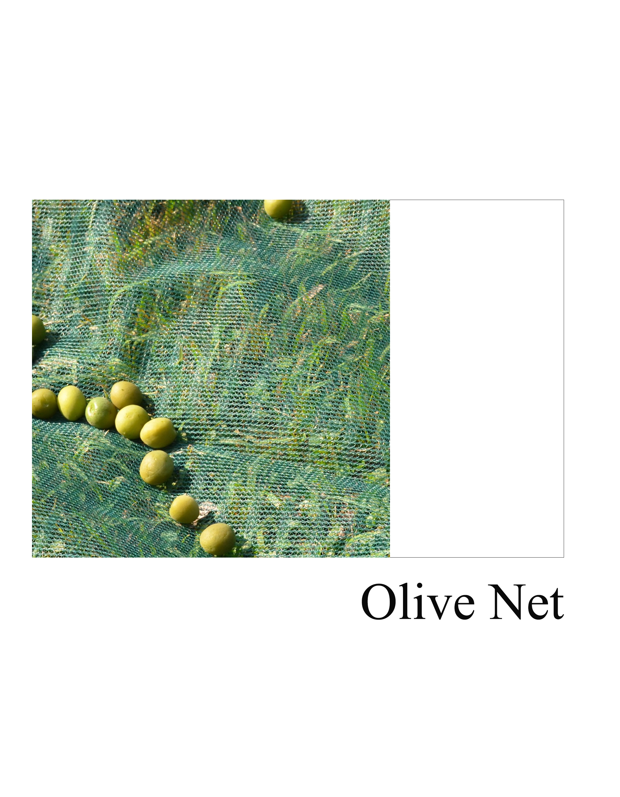 Introduction to Olive Net