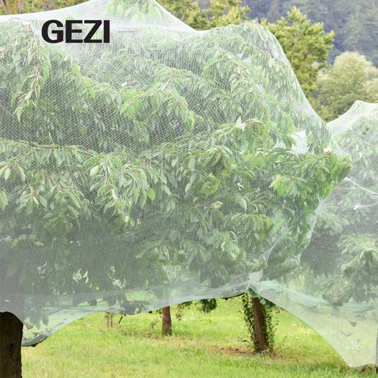 insect-net-bag.jpg