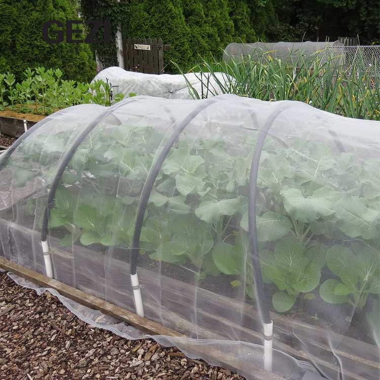 insect-proof-net-greenhouse.jpg