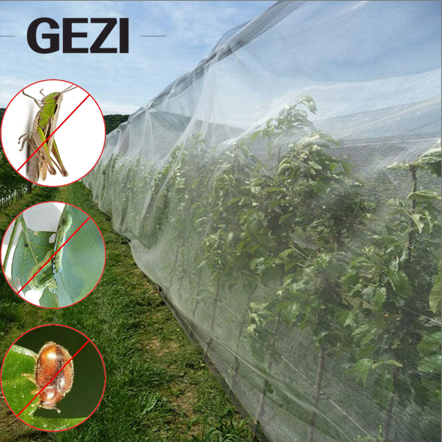 insect netting.jpg