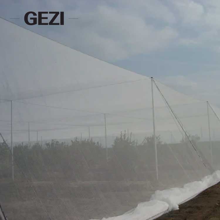 insect-net-greenhouse.jpg insect-net-greenhouse.jpg