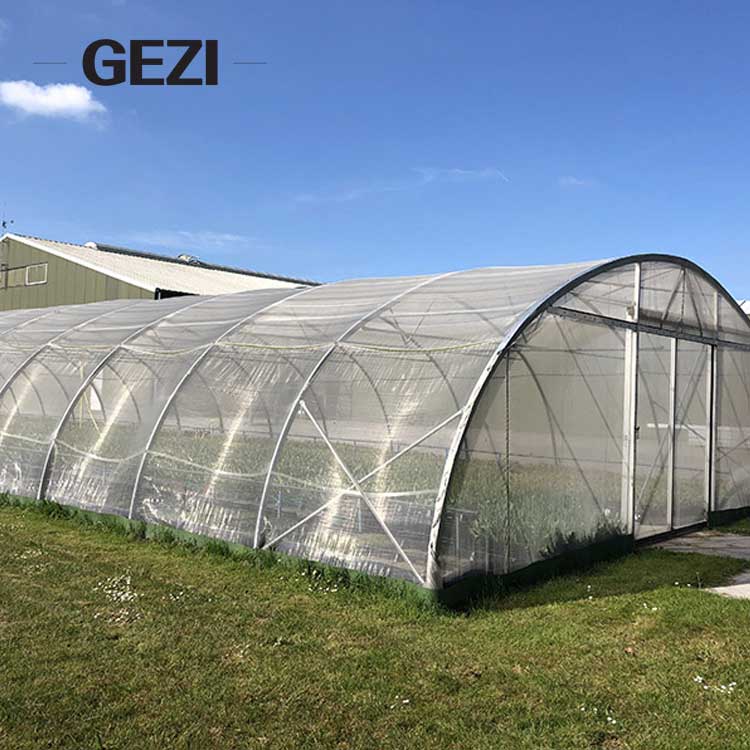 net-insect.jpg net-insect.jpg