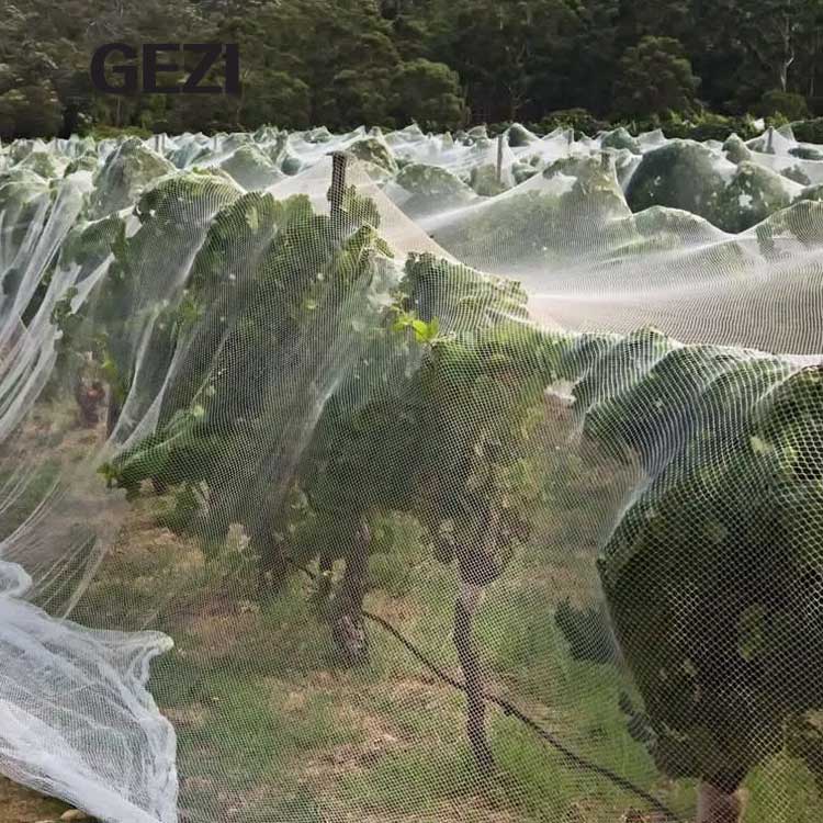 anti-bird-net.jpg anti-bird-net.jpg