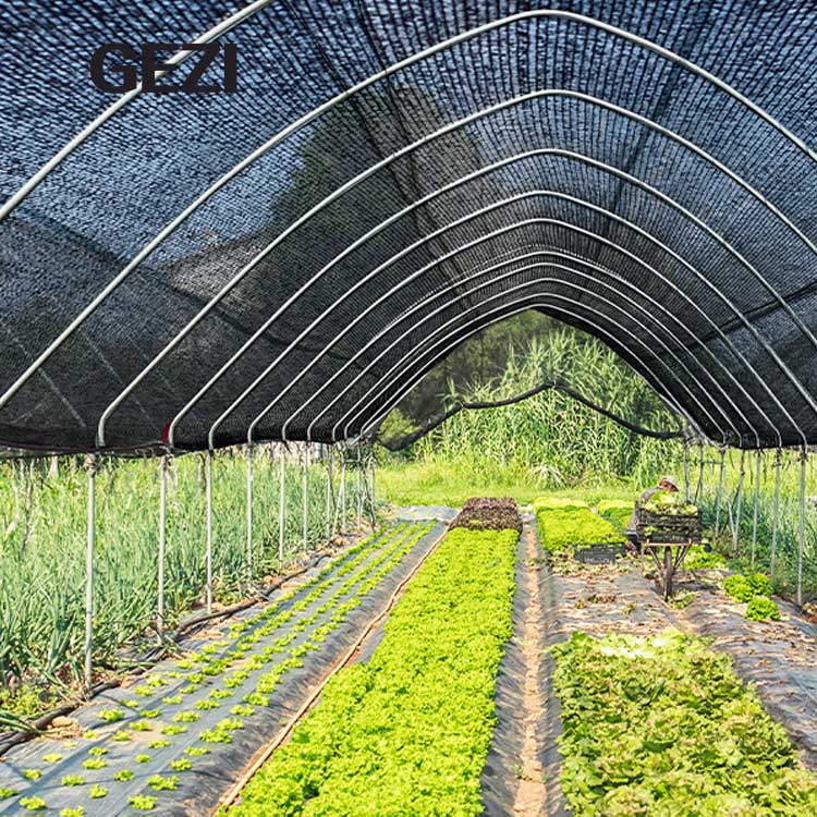 black-shade-netting-greenhouse.jpg black-shade-netting-greenhouse.jpg