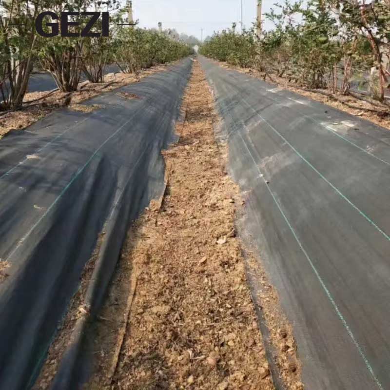 weed control mat.jpg weed control mat.jpg