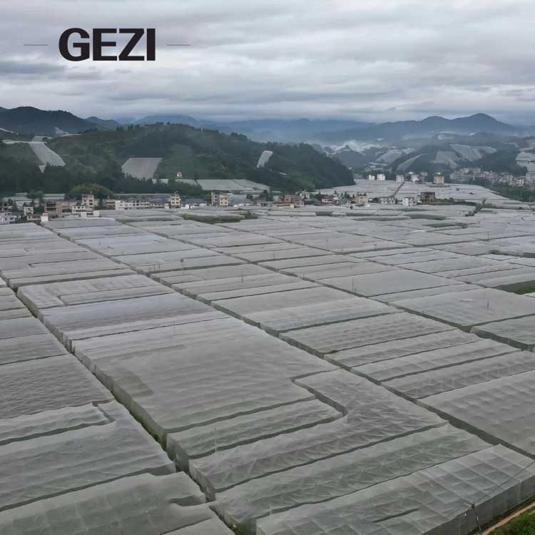 net-insect.jpg net-insect.jpg